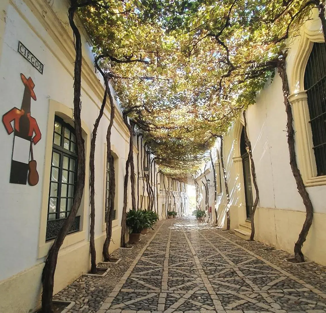 Atico Sonnenschein Apartment Jerez de la Frontera